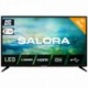 Salora 2100 series 24LTC2100 TV 61 cm (24") HD Black, Black
