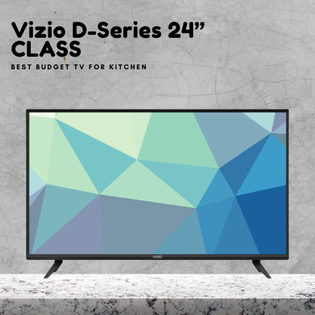 VIZIO 24 Inch Smart TV