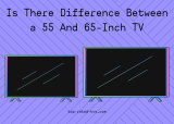 Is There Difference Between a 55 And 65-Inch TV? – Which one Should You Buy in 2022
