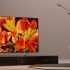 Sony A9F OLED TV 2022 Review & Buying Guide
